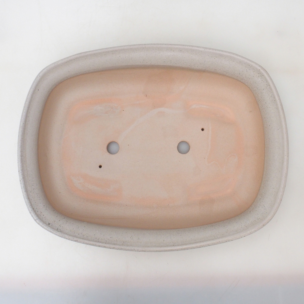 Coupe bonsaï H10 - 37 x 28 x 9 cm - beige