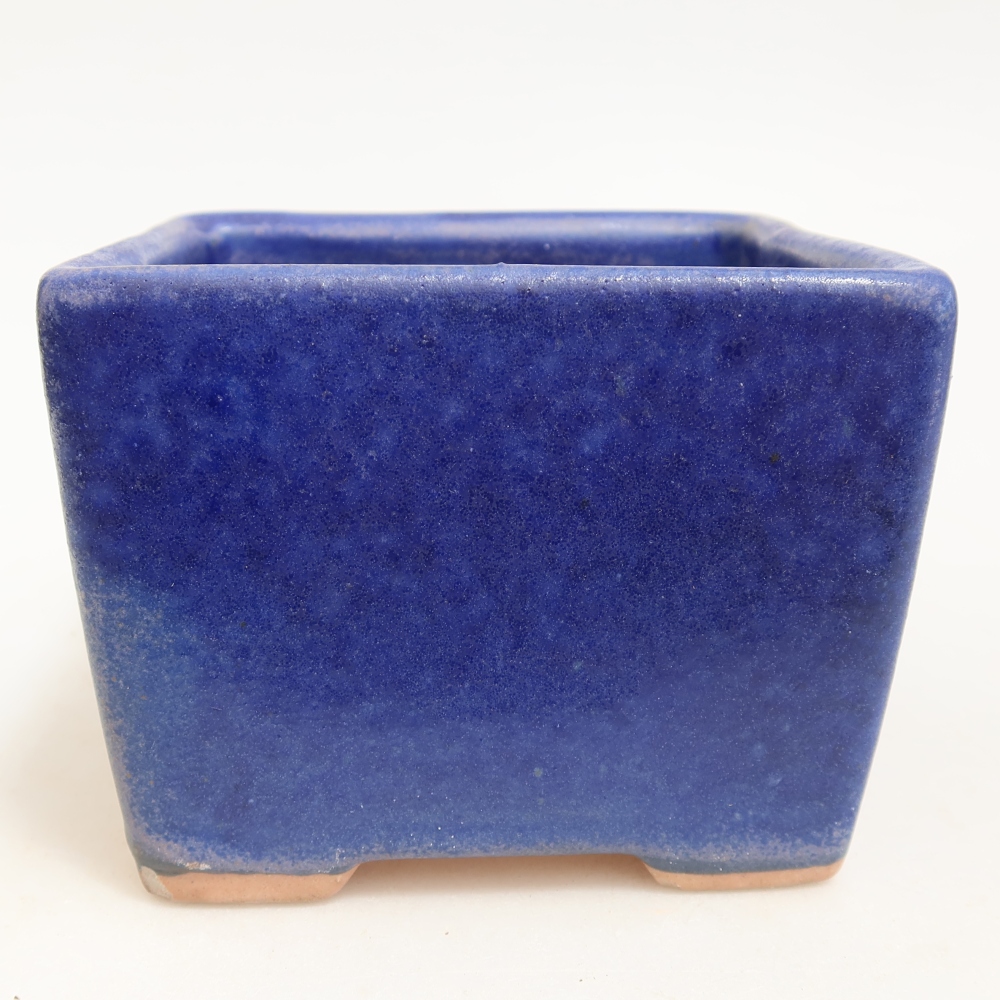 Pot à bonsaï en céramique 11 x 11 x 8,5 cm, couleur bleue