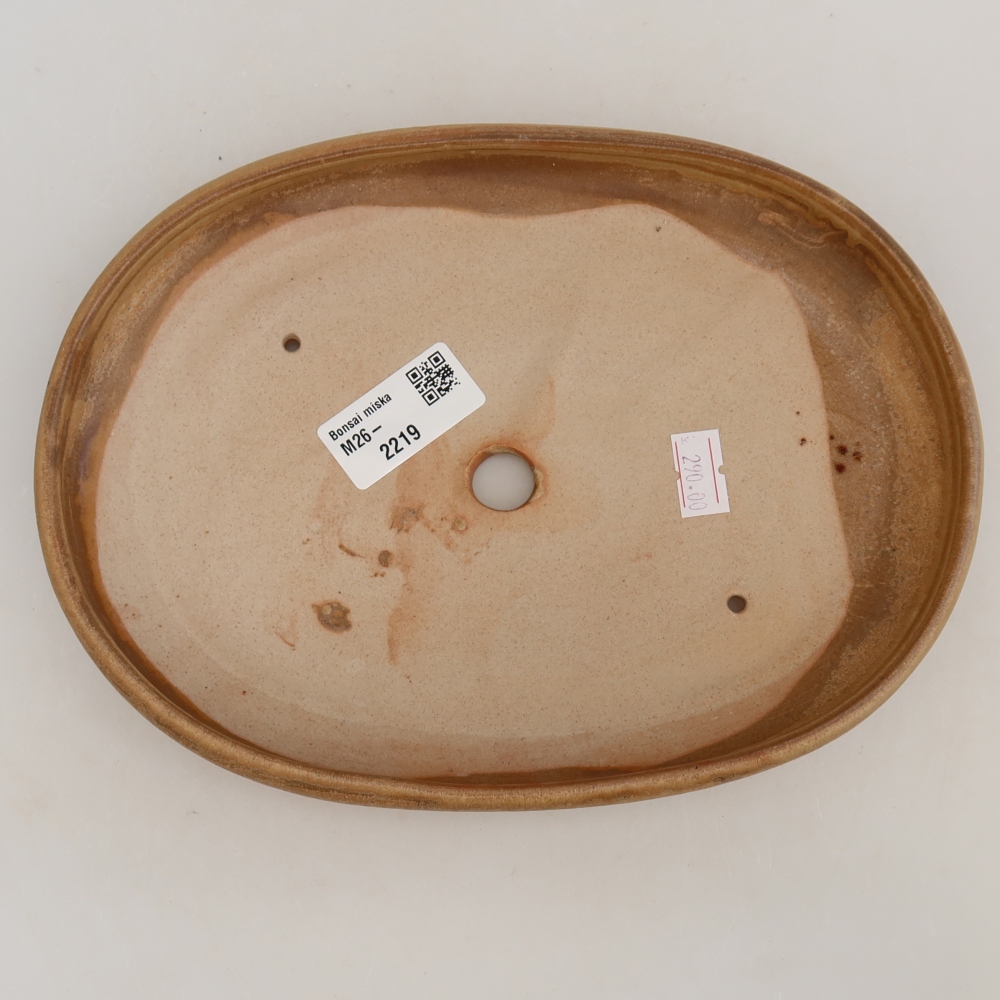 Bol à bonsaï en céramique 22,5 x 16,5 x 3 cm, couleur beige