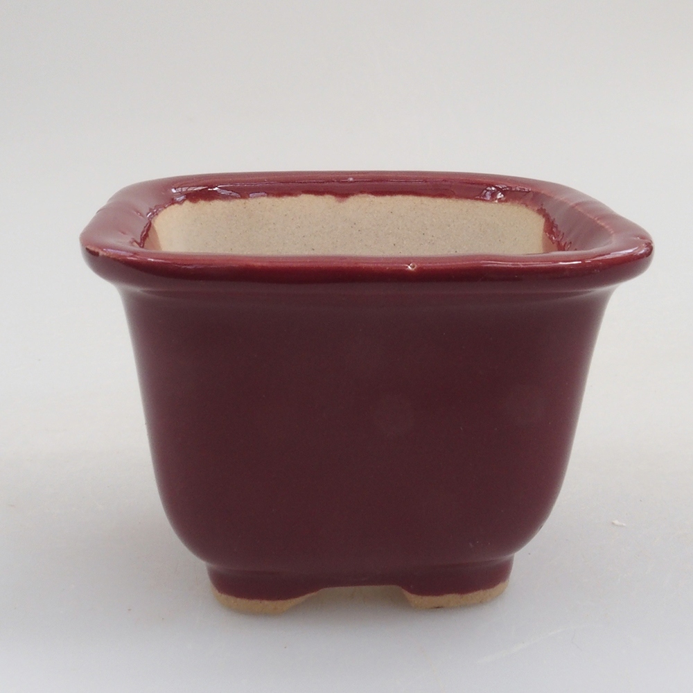 Mini bol bonsaï 6 x 6 x 4,5 cm, bordeaux