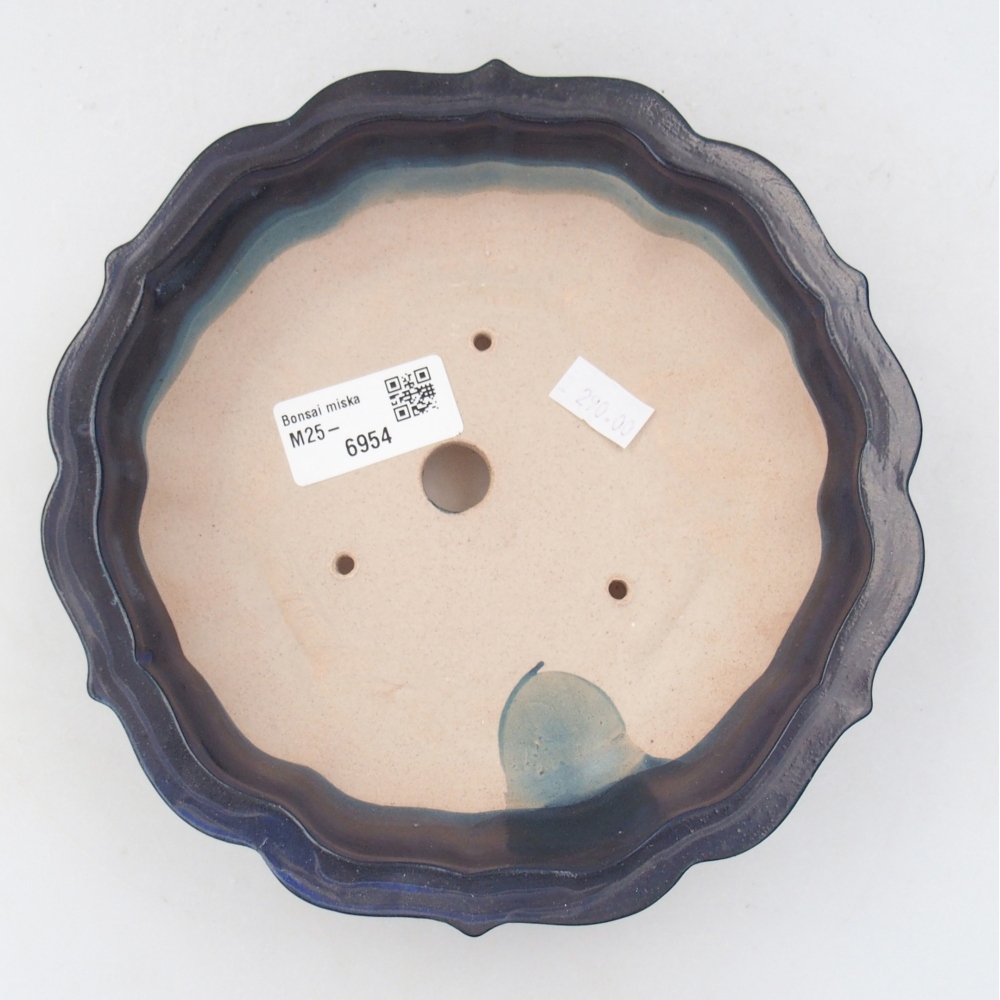 Bol à bonsaï en céramique 19 x 19 x 5 cm, couleur bleu