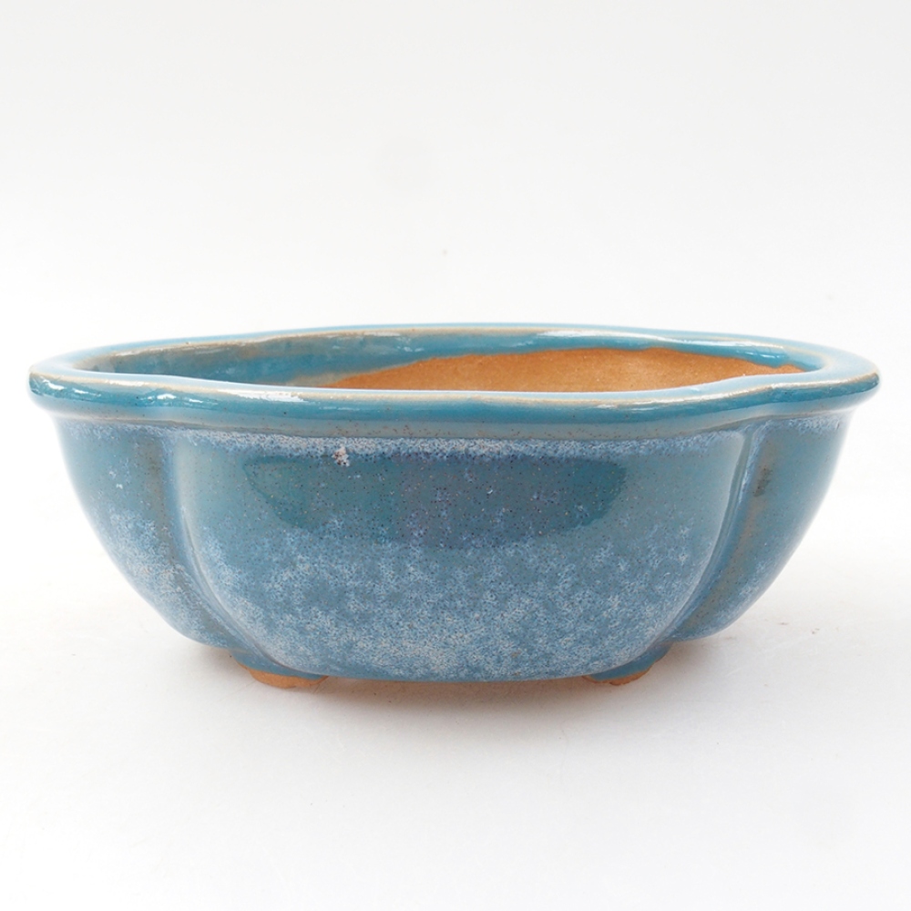 Bol à bonsaï en céramique 12,5 x 10 x 4,5 cm, couleur bleu