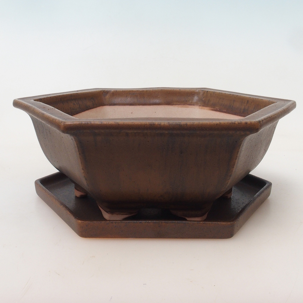 Bol Bonsaï + soucoupe H53 - 19 x 21,5 x 7 cm.