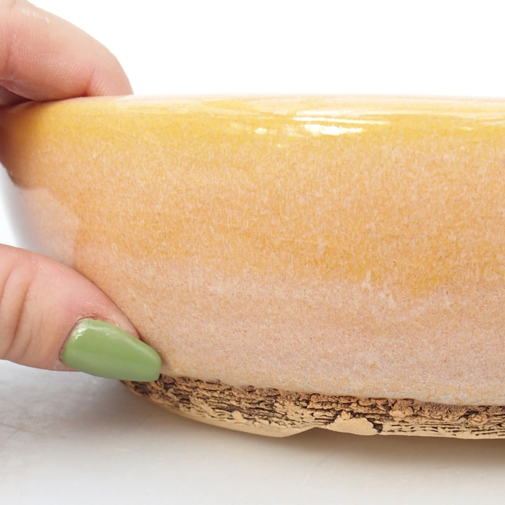 Bol à bonsaï en céramique 19,5 x 19,5 x 6 cm, couleur brun-jaune