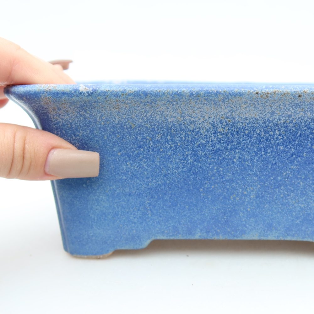 Pot à bonsaï en céramique 18 x 13,5 x 7,5 cm, couleur bleue