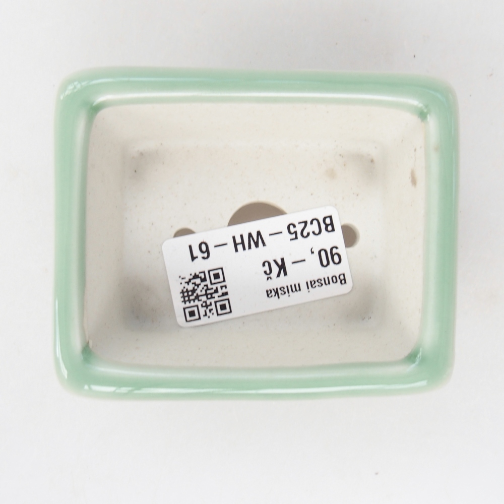 Mini bol bonsaï 8 x 6,5 x 3 cm, vert