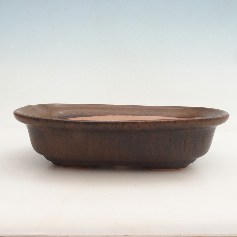 Bol Bonsaï + soucoupe H25 - 23 x 17 x 5,5 cm - marron