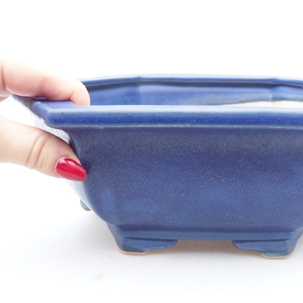 Bol à bonsaï en céramique 28 x 24,5 x 9 cm, couleur bleu