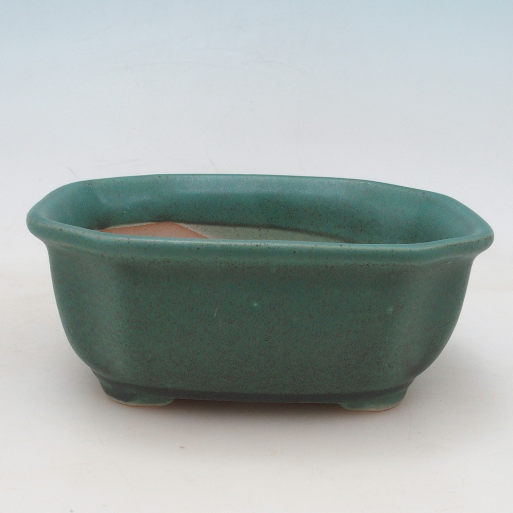 Bol à bonsaï H32 - 13 x 10 x 5,5 cm - vert
