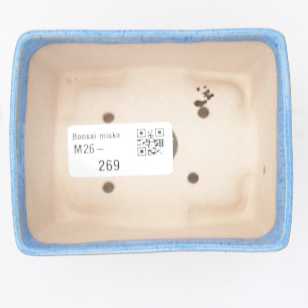 Mini bol bonsaï 9 x 7 x 4 cm, bleu