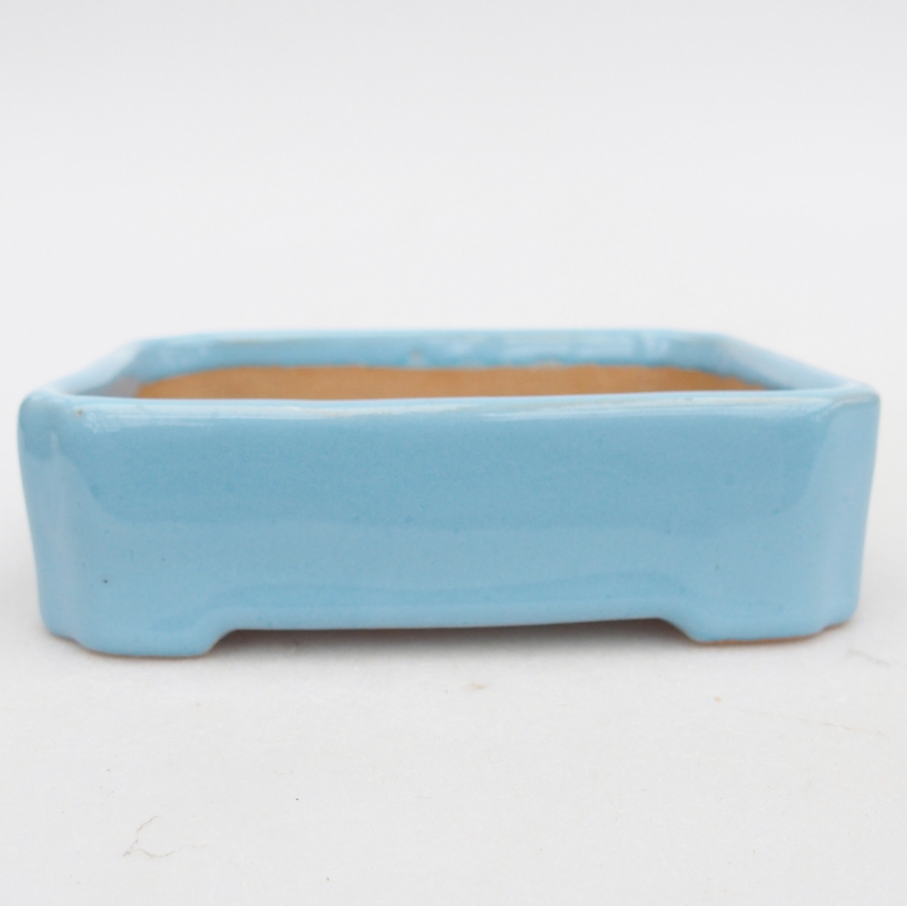 Bol à bonsaï en céramique 11 x 9 x 3 cm, couleur bleu