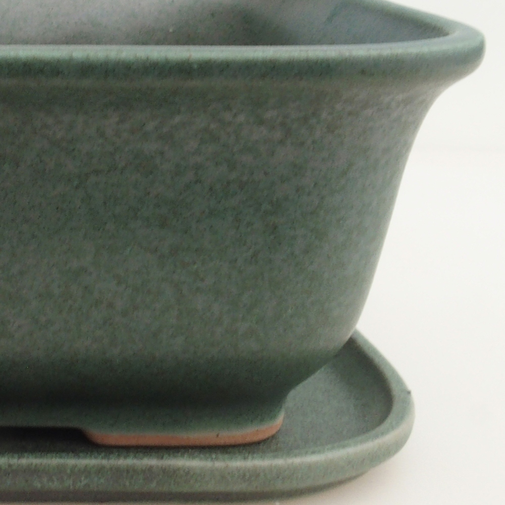 Bol Bonsaï + soucoupe H36 - 17 x 15 x 7,5 cm - vert