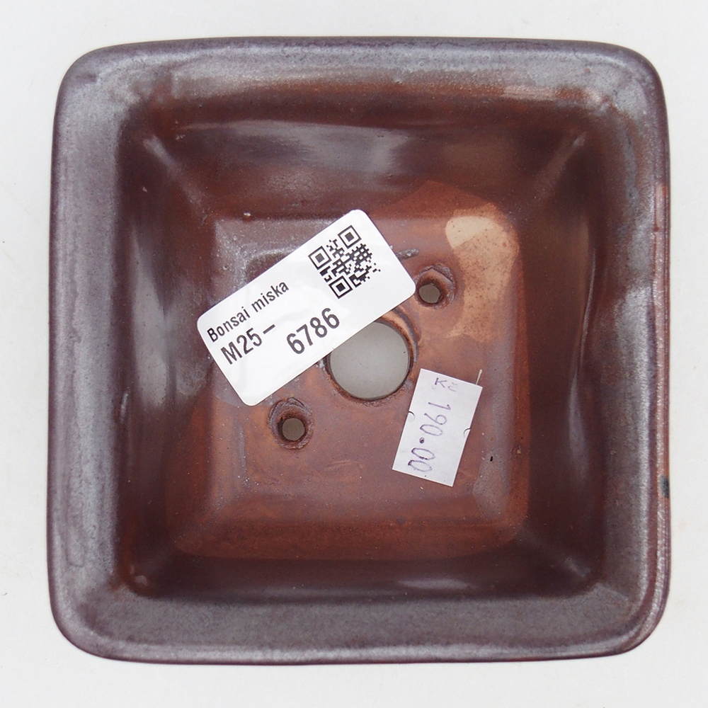 Bol à bonsaï en céramique 10 x 10 x 6 cm, bordeaux