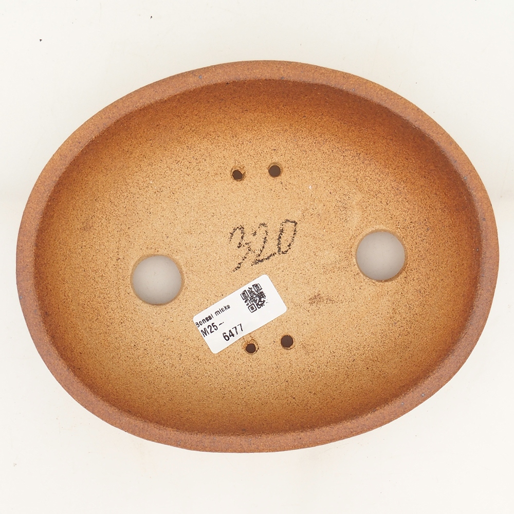 Bol à bonsaï 20 x 16 x 5,5 cm , couleur marron