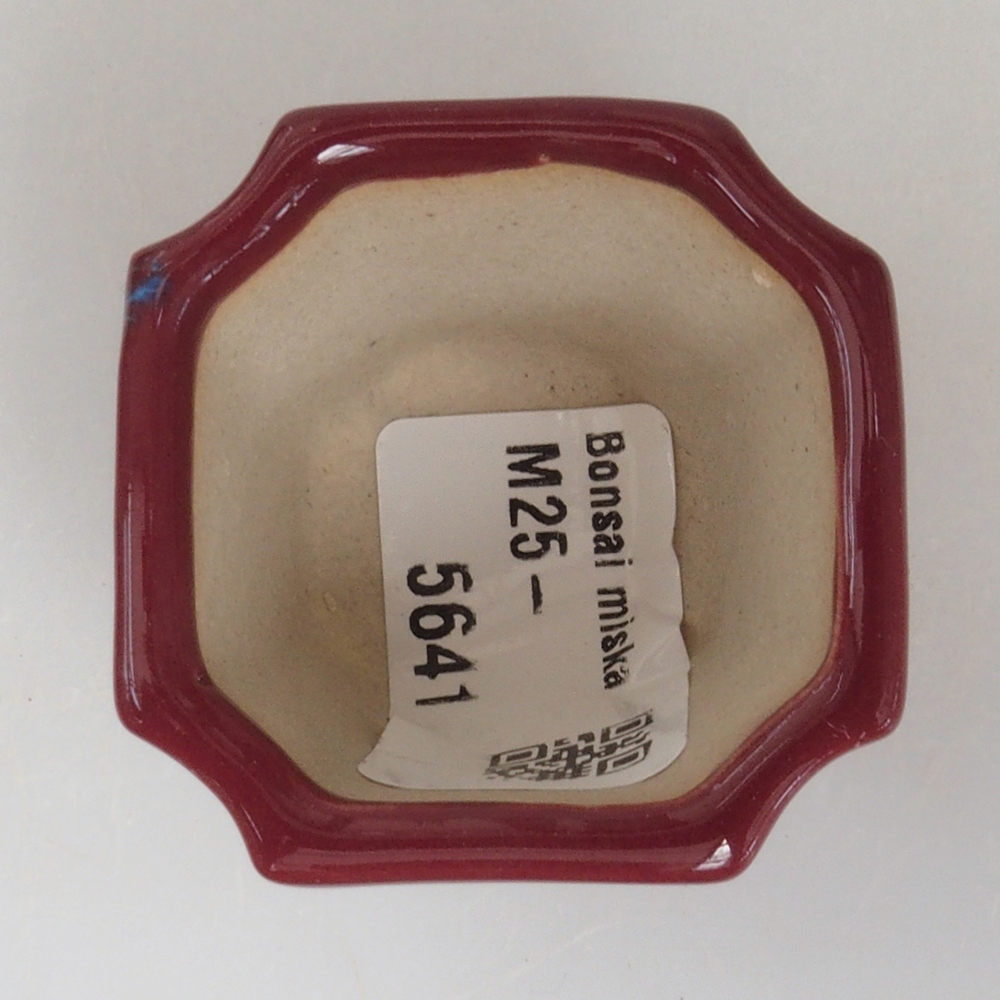 Mini bol bonsaï 4 x 4 x 4 cm, bordeaux