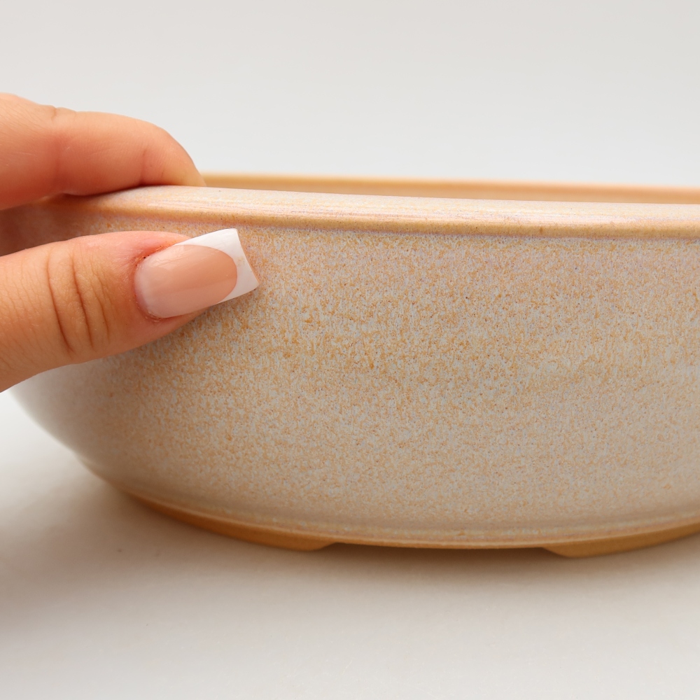Pot à bonsaï en céramique 25,5 x 25,5 x 8 cm, couleur beige