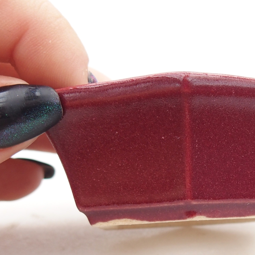 Mini bol bonsaï 6 x 5,5 x 2,5 cm, bordeaux