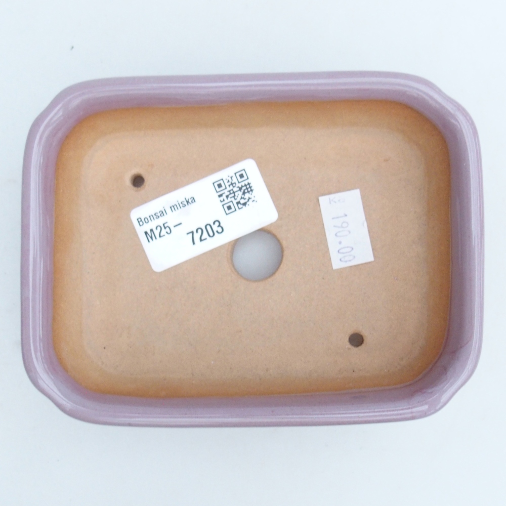 Bol à bonsaï en céramique 12 x 9 x 3 cm, rose