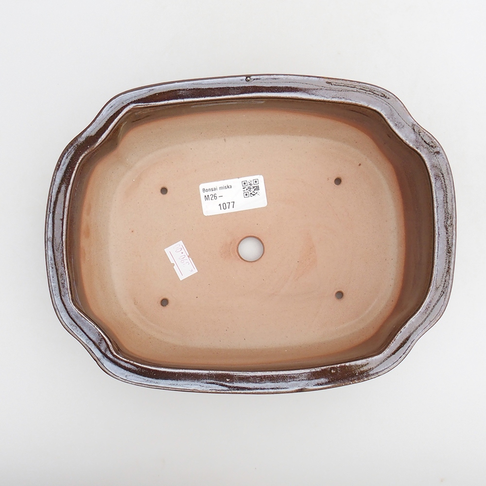 Bol à bonsaï en céramique 22 x 16,5 x 7 cm, brun