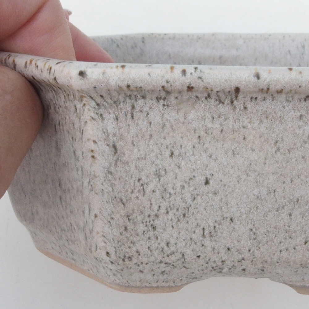 Coupe bonsaï H13 - 12,5 x 12,5 x 4,5 cm - beige