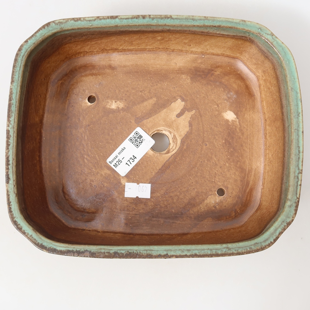Pot à bonsaï en céramique 21,5 x 18 x 6 cm, couleur verte