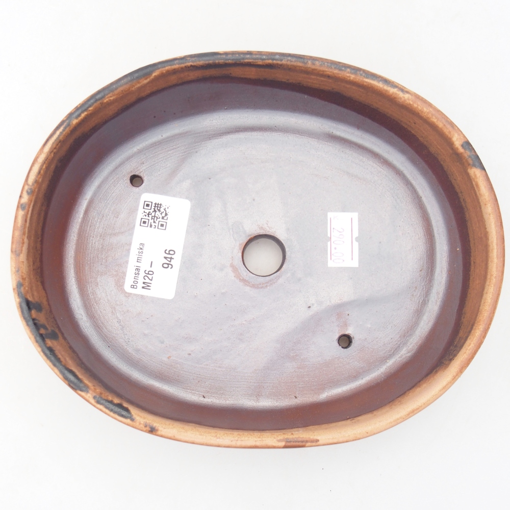 Bol à bonsaï en céramique 17 x 14 x 4 cm, rose