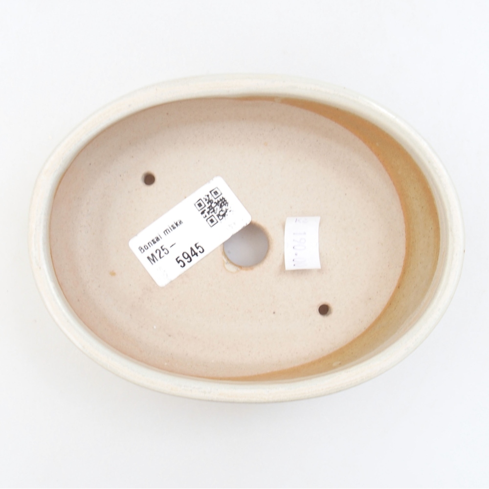 Bol à bonsaï en céramique 22 x 17 x 5 cm, vert