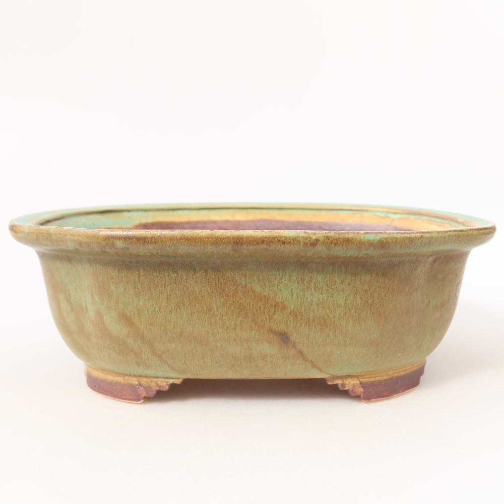 Pot à bonsaï en céramique 20,5 x 16,5 x 7 cm, couleur verte