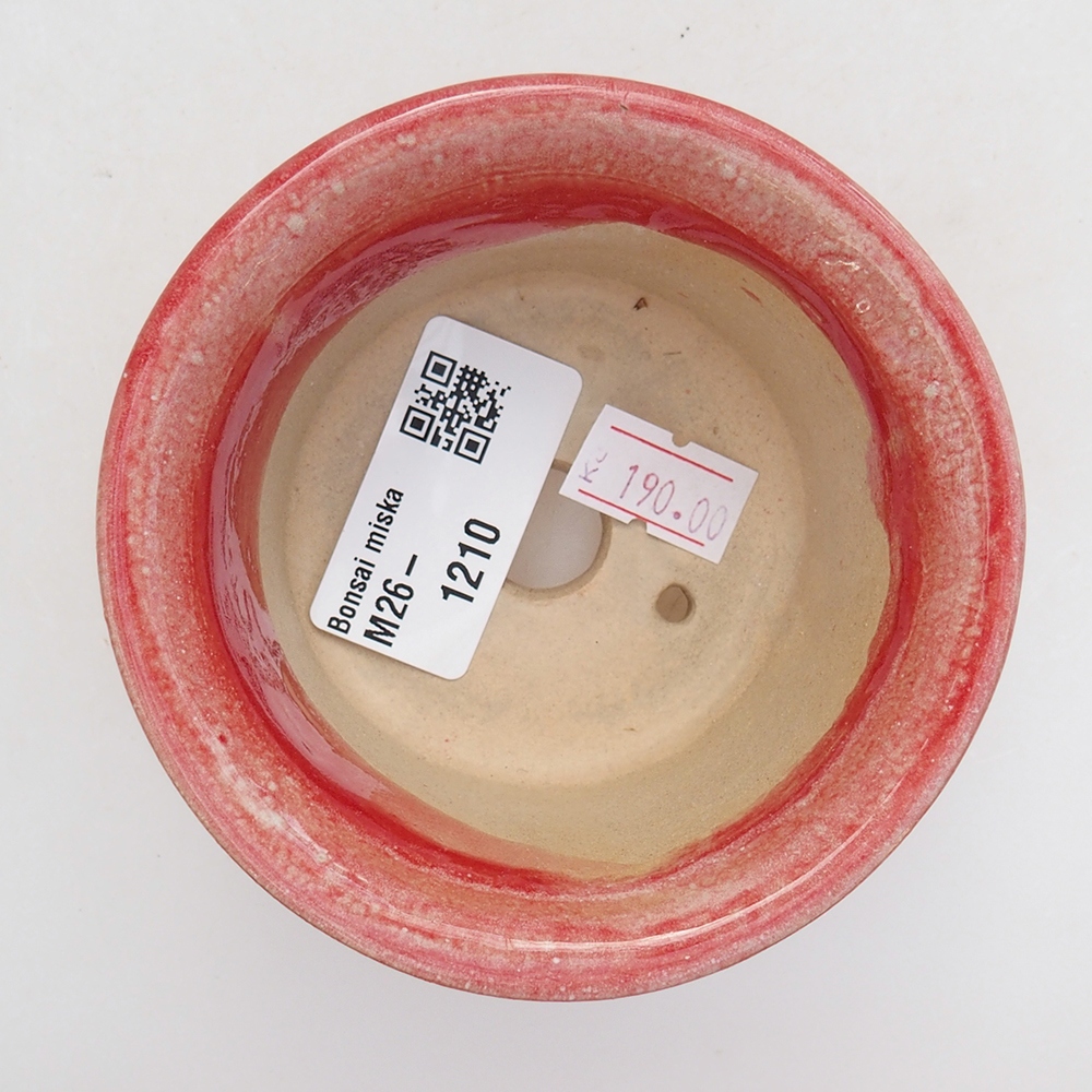 Bol à bonsaï en céramique 9 x 9 x 5 cm, couleur rouge