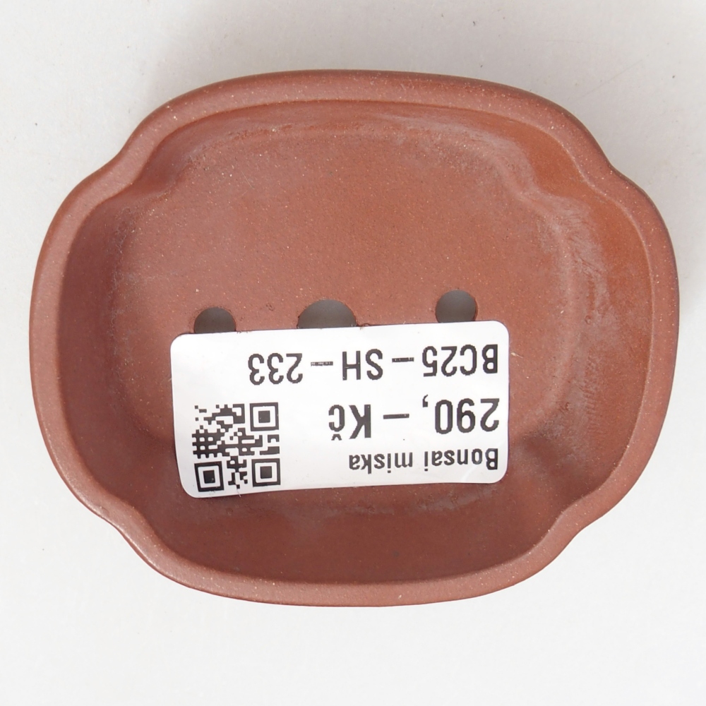Bol 7 x 6 x 2 cm couleur brique