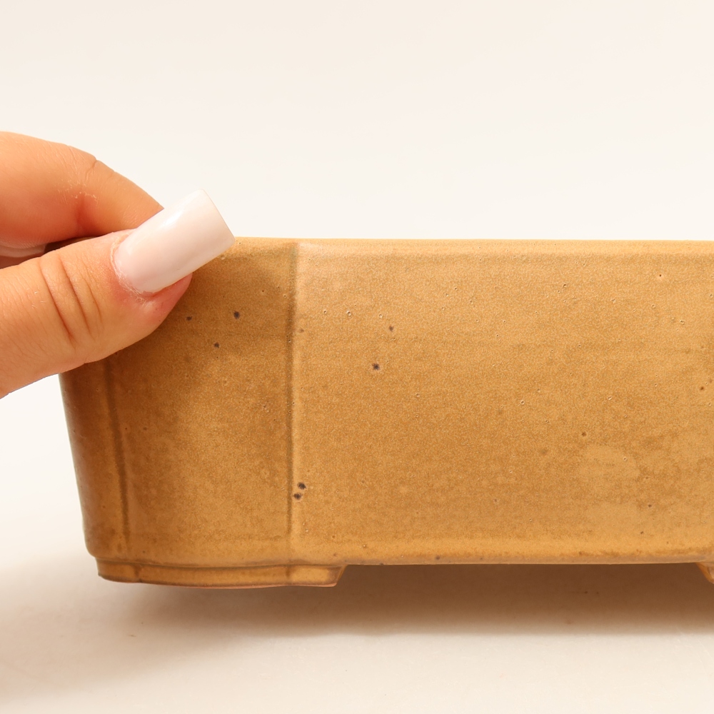 Pot à bonsaï en céramique 20,5 x 17,5 x 7 cm, couleur beige