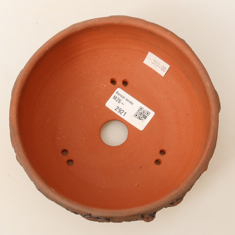 Pot à bonsaï en céramique 16 x 16 x 6,5 cm, couleur marron