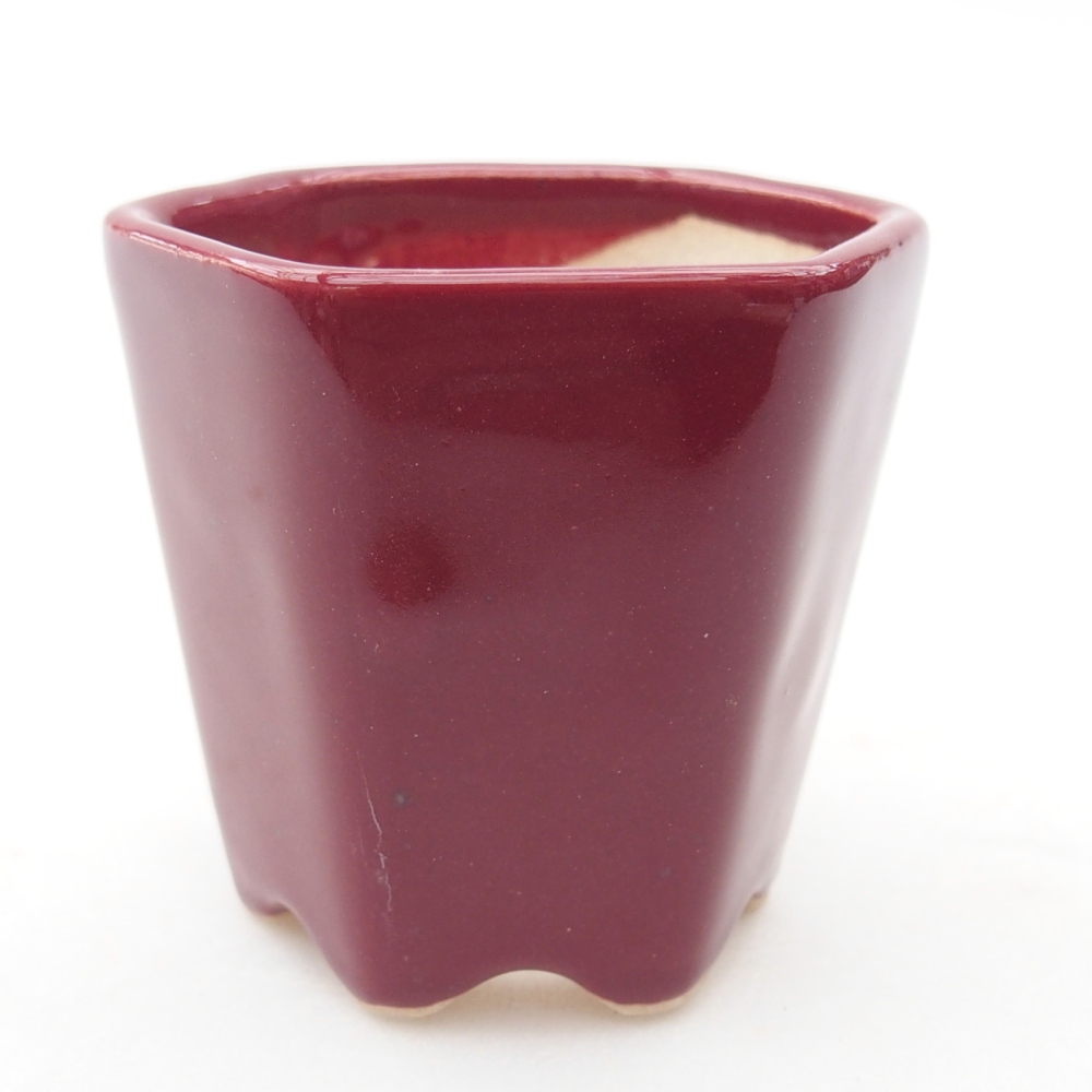 Mini bol bonsaï 5,5 x 5 x 5 cm, couleur bordeaux