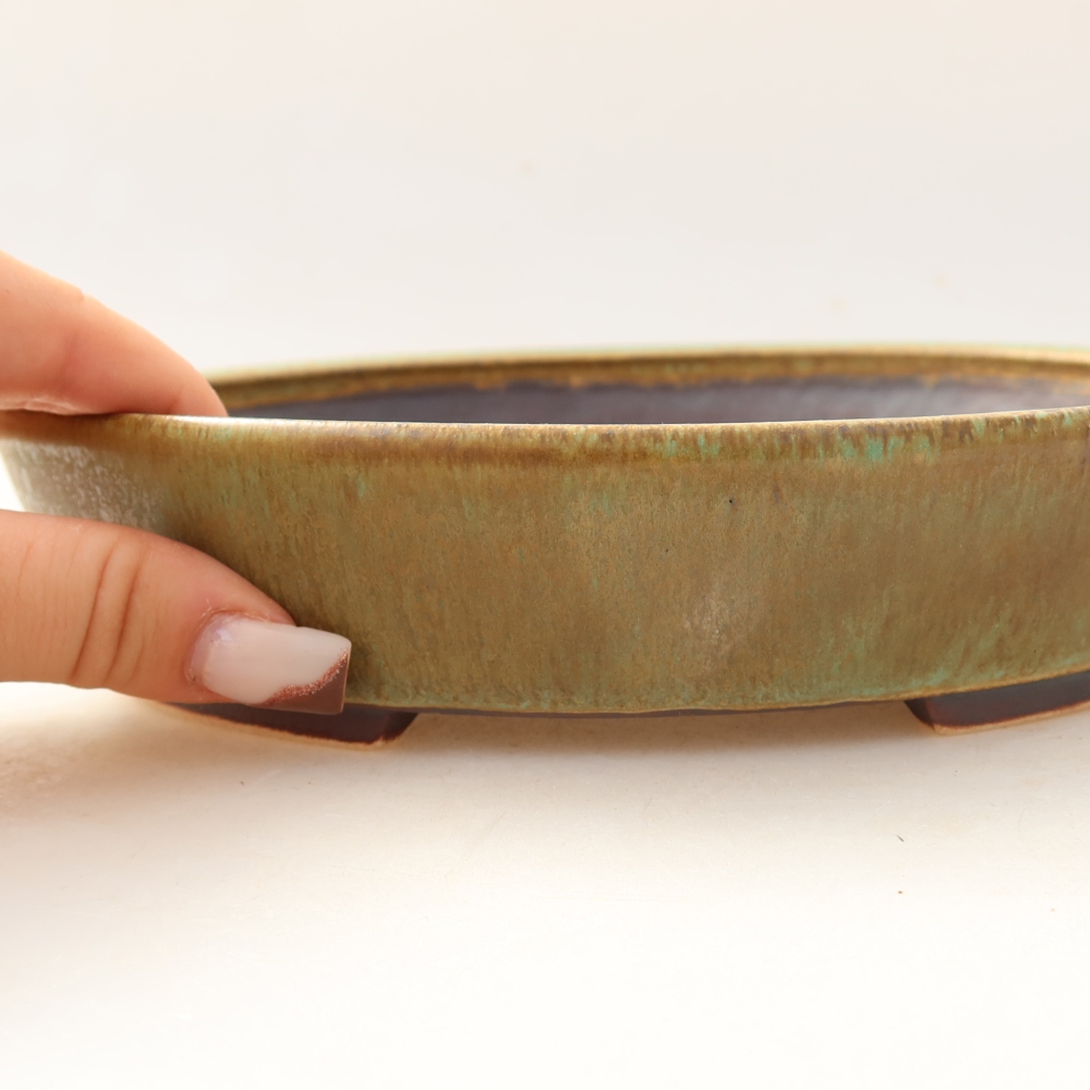 Bol à bonsaï en céramique 21 x 19 x 4,5 cm, vert