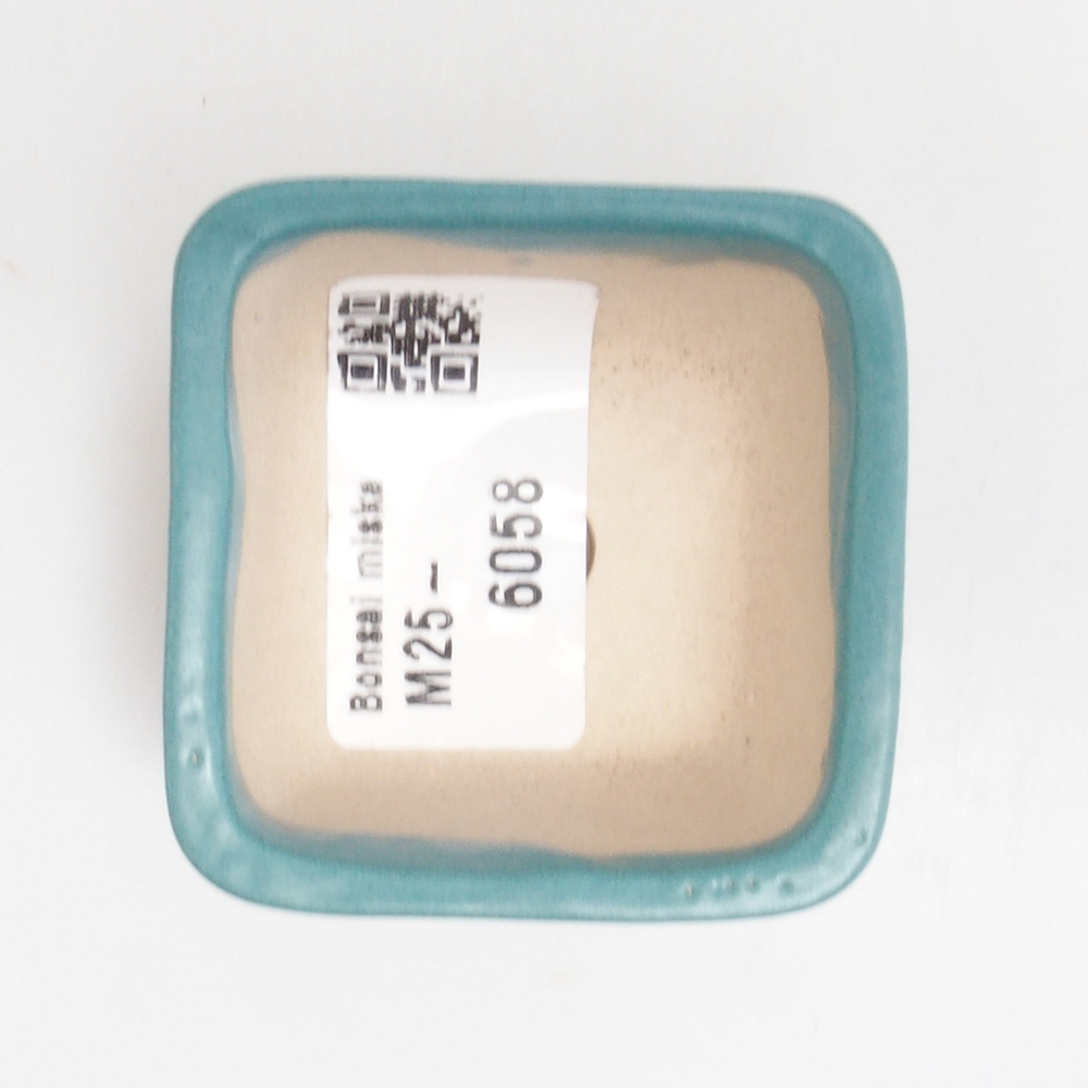 Bol à bonsaï en céramique 6,5 x 5,5 x 4 cm, couleur bleu