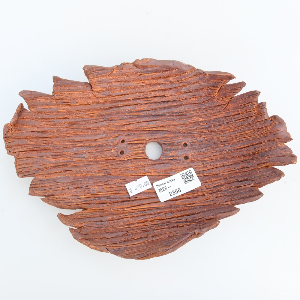 Coquille en céramique  24 x 17 x 6,5 cm, couleur marron