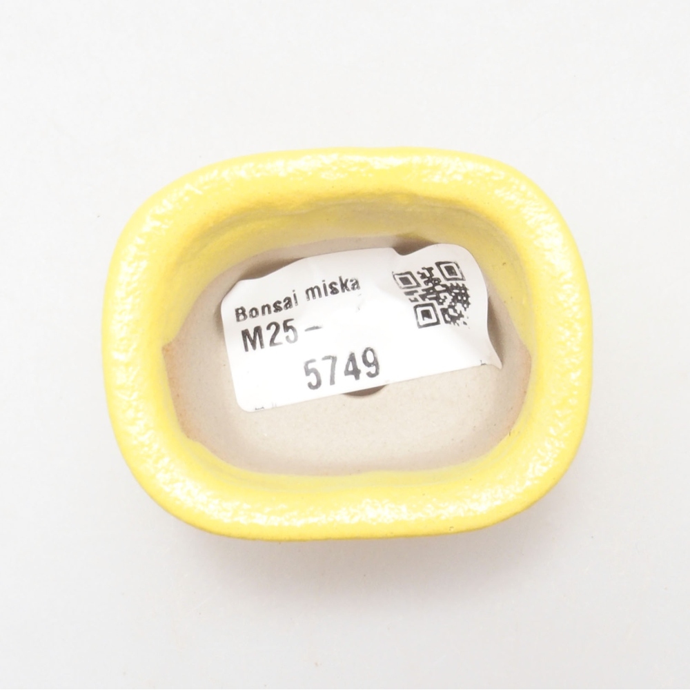 Bol à bonsaï en céramique 5,5 x 4,5 x 3 cm, jaune