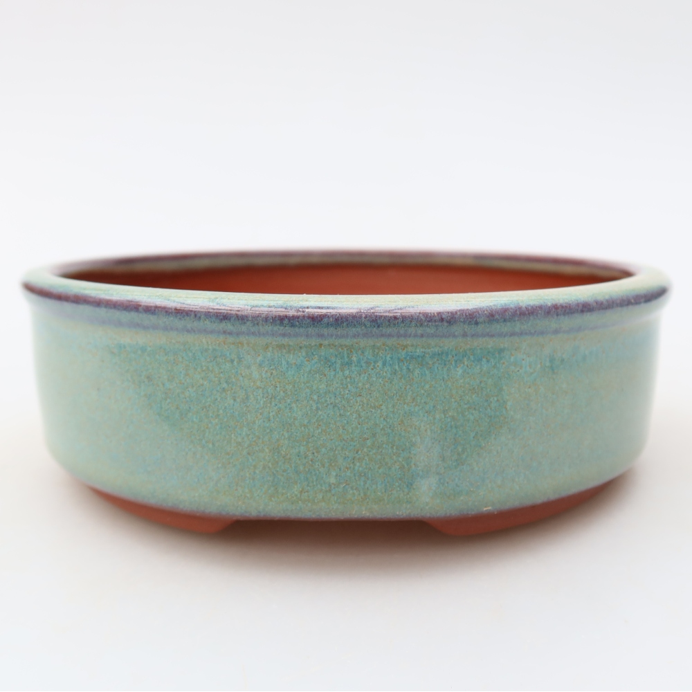 Pot à bonsaï en céramique 14 x 14 x 4,5 cm, couleur verte