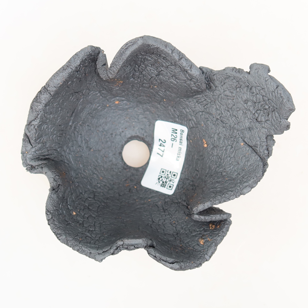 Coquille en céramique  12,5 x 11 x 7,5 cm, couleur métallique