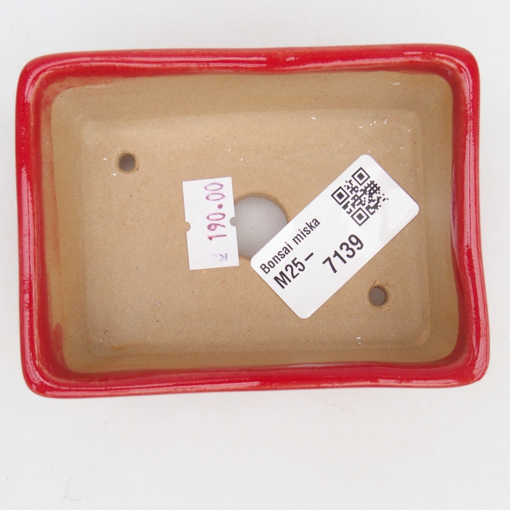 Bol à bonsaï en céramique 9,5 x 7 x 3,5 cm, couleur rouge