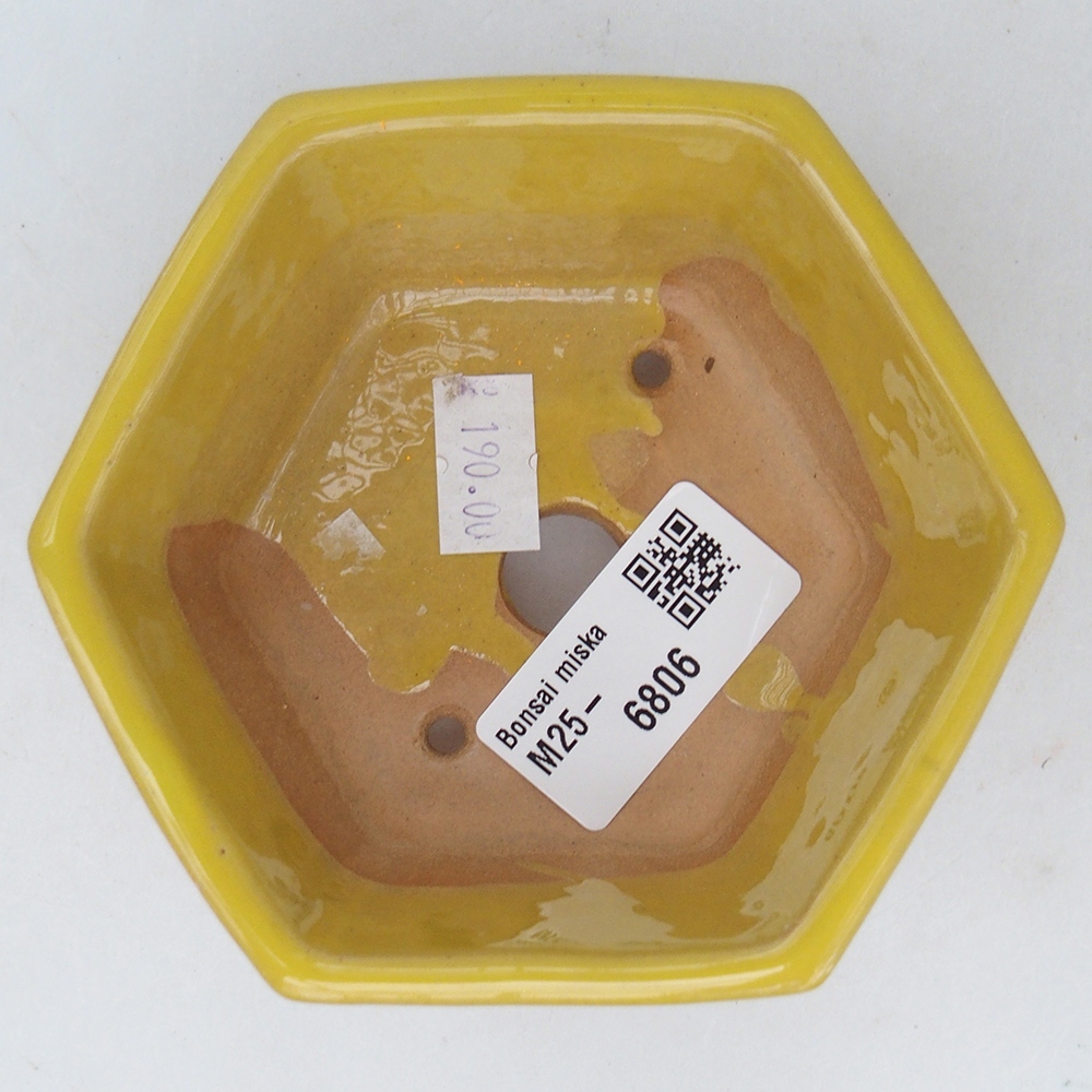 Bol à bonsaï en céramique 10,5 x 9,5 x 5 cm, jaune