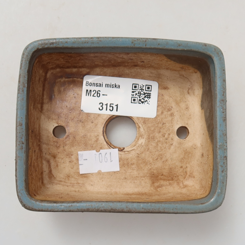 Pot à bonsaï en céramique 10 x 8 x 3,5 cm, couleur bleue