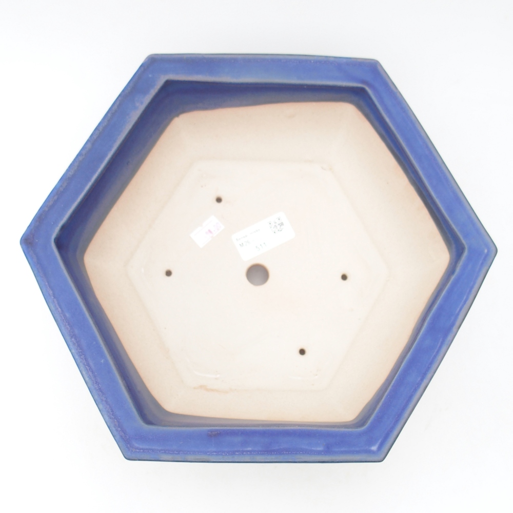 Bol à bonsaï en céramique 28 x 24,5 x 9 cm, couleur bleu