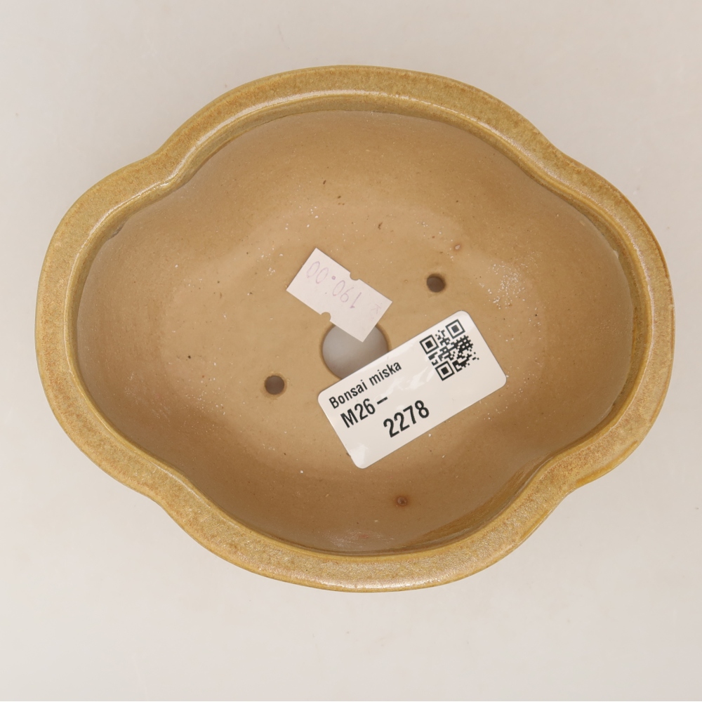 Pot à bonsaï en céramique 12,5 x 10,5 x 4,5 cm, couleur beige