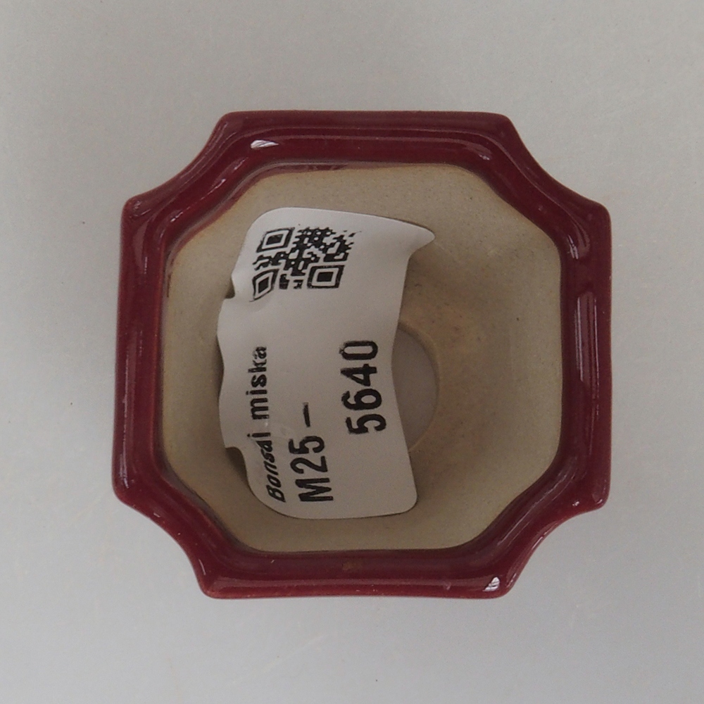 Mini bol bonsaï 4 x 4 x 4 cm, bordeaux