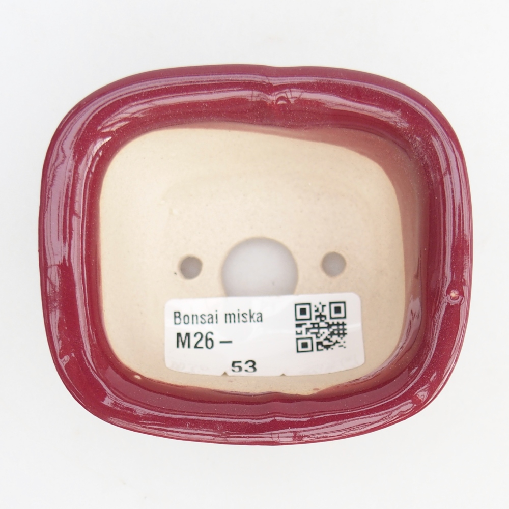 Mini bol bonsaï 7,5 x 6,5 x 3,5 cm, bordeaux
