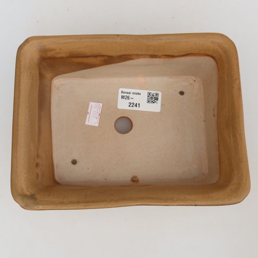 Bol à bonsaï en céramique 18 x 14 x 7 cm, couleur beige