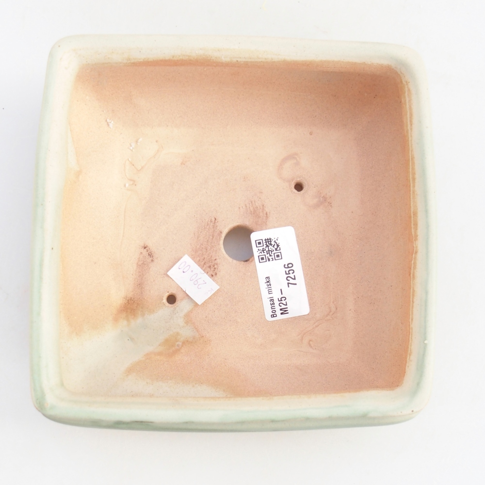 Bol à bonsaï en céramique 15,5 x 15,5 x 6 cm, vert