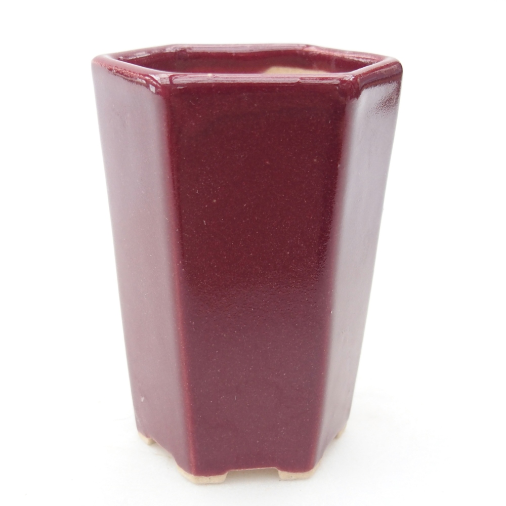 Mini bol bonsaï 5 x 4,5 x 6,5 cm, bordeaux