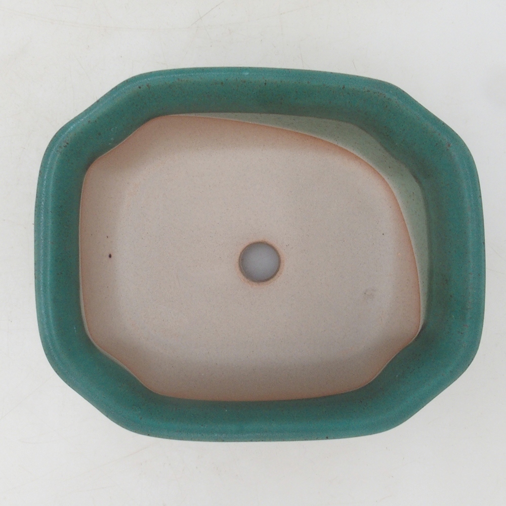 Bol à bonsaï H31 - 14 x 12 x 5,5 cm - vert